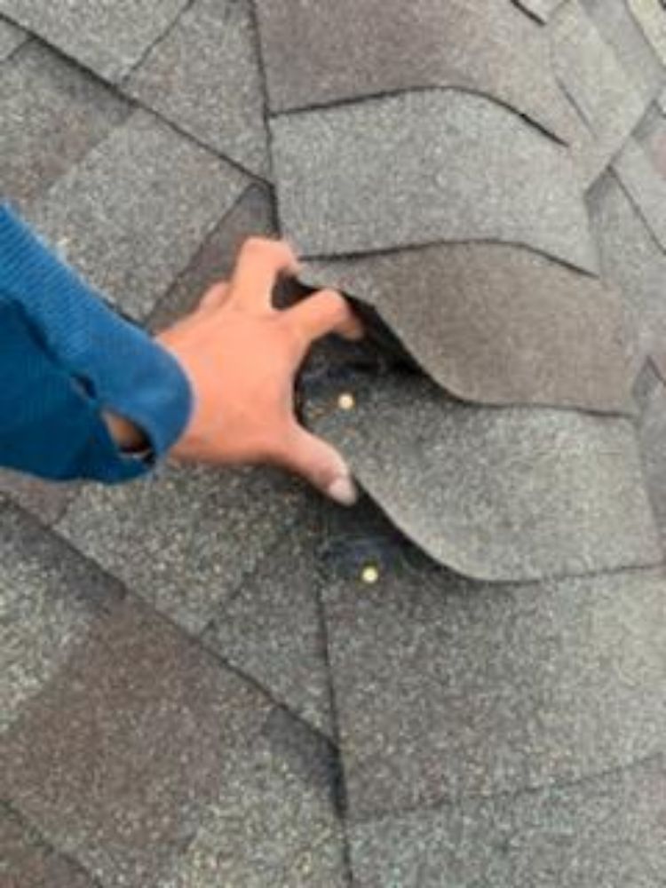 Slide of Shingles Express