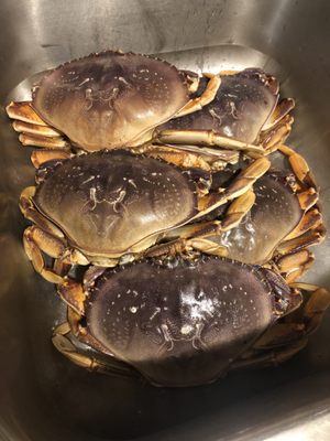 99 Ranch Market by null