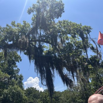 Sea Serpent Tour - Boat Tours Near Me - Saint Augustine, Florida