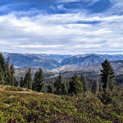 Panoramic Point