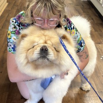 Featherer Pet Grooming - Cheyanne and Louie the Chow - Pet Stores Near Me - Benicia, California Featherer Pet Grooming - Cheyanne and Louie the Chow - Pet Stores Near Me - Benicia, California