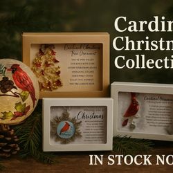 Boulevard Florist - Christmas Cardinal Collection