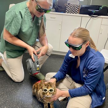Twinbrook Animal Clinic - Veterinarians Near Me - Valencia, Pennsylvania Twinbrook Animal Clinic - Veterinarians Near Me - Valencia, Pennsylvania