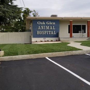 Walker Signs - Formed letters for Oak Glen Animal Hospital - Signmaking Near Me - Yucaipa, California Walker Signs - Formed letters for Oak Glen Animal Hospital - Signmaking Near Me - Yucaipa, California