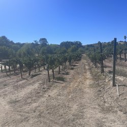 Designated Wine Driver - One of the wineries we visited. We recommend bringing a small cooler with water bottles or coconut water in your trunk.