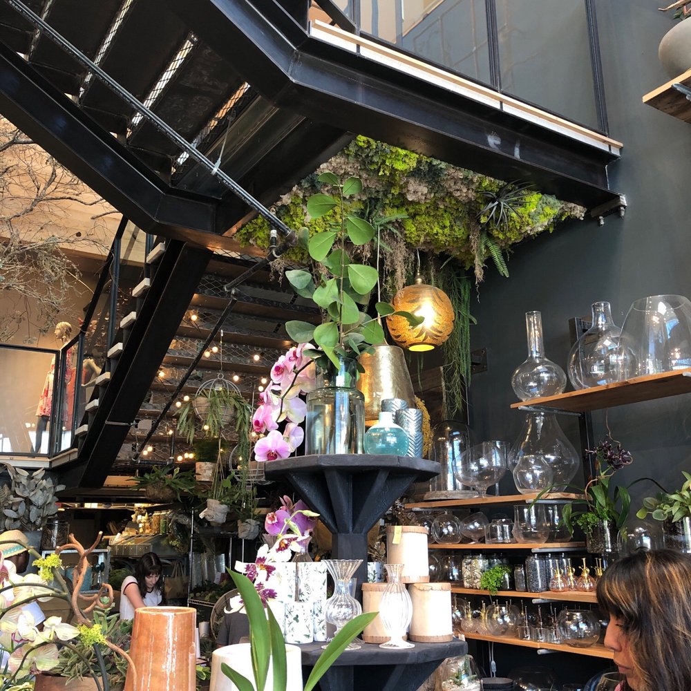 Such a cool store of plants Such a cool store of plants