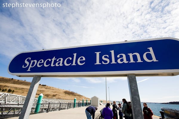 Spectacle Island by null