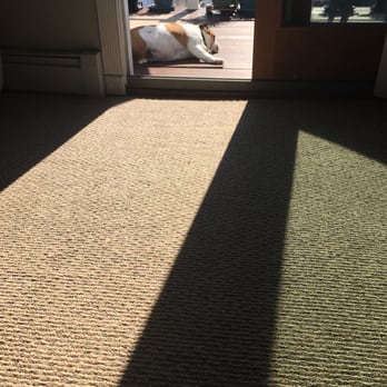 Tri County Carpet Cleaning - Bulldog Clean! - Carpet Cleaning Near Me - Levittown, New York Tri County Carpet Cleaning - Bulldog Clean! - Carpet Cleaning Near Me - Levittown, New York