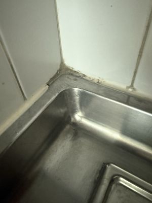 Mayan Palace by null