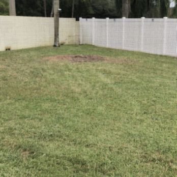 Greater Bay Area Tree & Arborist Services - Tree Services Near Me - Seminole, Florida Greater Bay Area Tree & Arborist Services - Tree Services Near Me - Seminole, Florida
