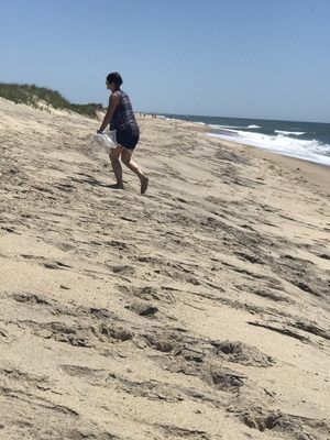 Long Point Wildlife Refuge by null