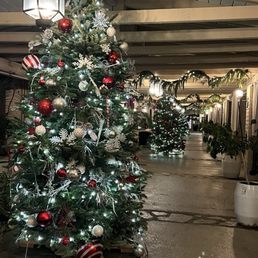 Beautiful Christmas trees in outside hallway Beautiful Christmas trees in outside hallway