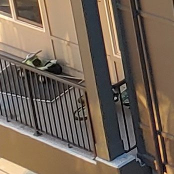 Shangri La Apartments - Apartments Near Me - Bothell, Washington