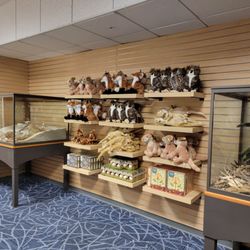 Alex and Elizabeth Wise Museum Store - Stuffed animals