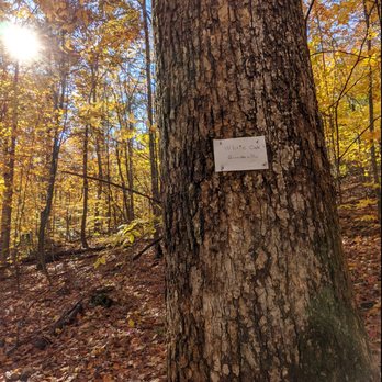 Bri-Mar Trail - Hiking Near Me