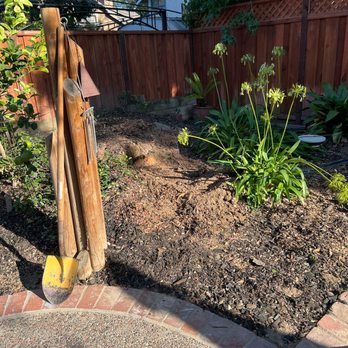 Better Tree Care - Tree Services Near Me
