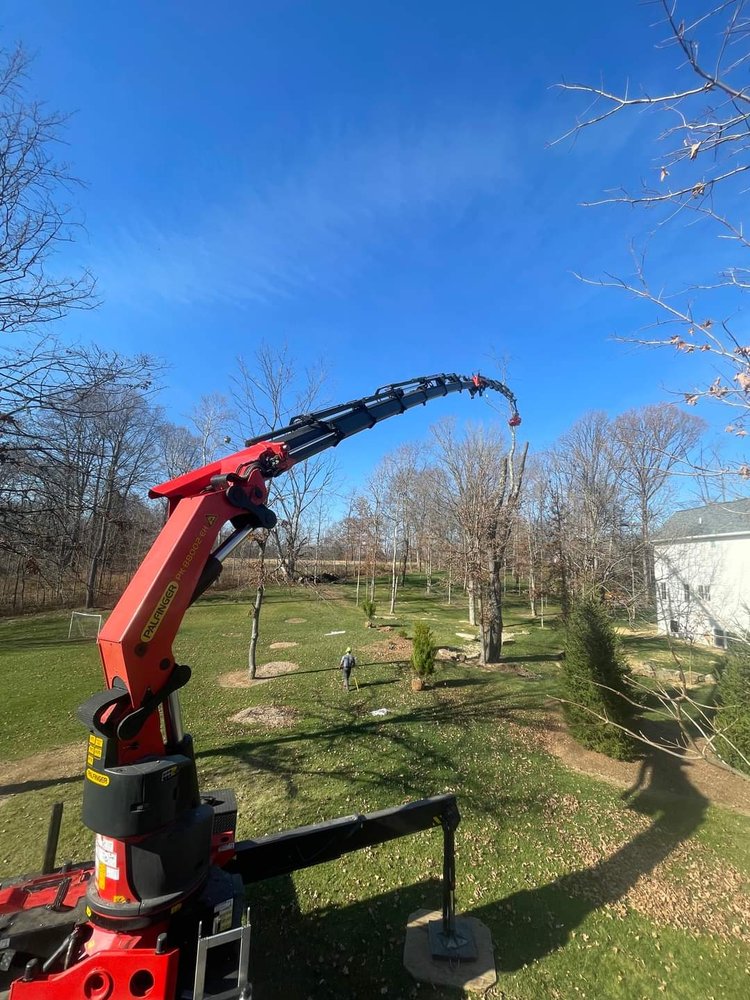 Schmitt Tree Service and Landscaping - tree service in Newington, CT