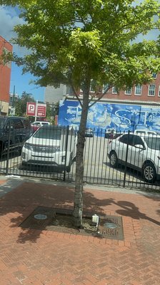 Contemporary Arts Center, New Orleans by null