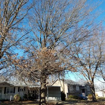 D's Tree Care - begin - Tree Services Near Me - Wakarusa, Kansas D's Tree Care - begin - Tree Services Near Me - Wakarusa, Kansas