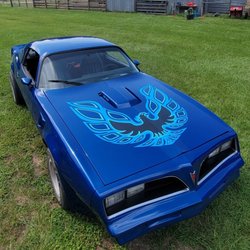 Columbia Glass Tint - And only 2 hours later, my hood bird is exactly the way I wanted it!