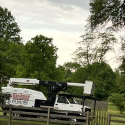 Hackney Tree Service - Hackney is the best tree service we've used...and we've used a few!