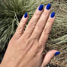 Electric Blue gelx Electric Blue gelx
