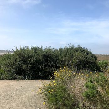 San Elijo Lagoon Ecological Reserve - Parks Near Me - Encinitas, California San Elijo Lagoon Ecological Reserve - Parks Near Me - Encinitas, California