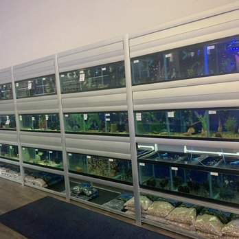 Beverly's Pet Center - Pet Stores Near Me - Pembroke Pines, Florida Beverly's Pet Center - Pet Stores Near Me - Pembroke Pines, Florida