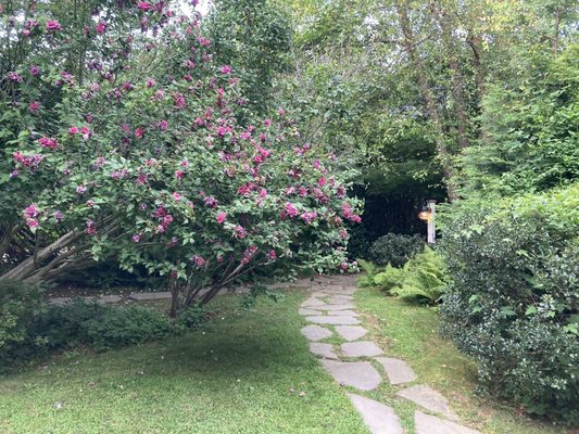 Mill House Inn by null