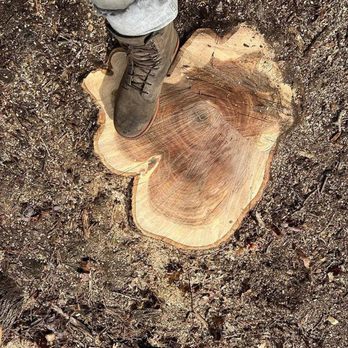 Tree Busters - Tree Services Near Me - Falmouth, Massachusetts
