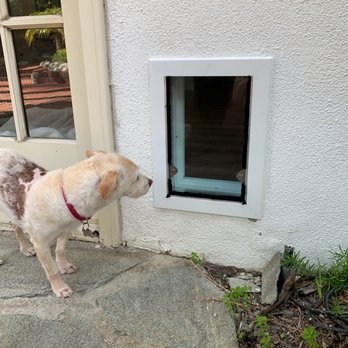Bella Pet Doors - Door Sales/Installation Near Me - Camarillo, California