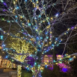 Fellows Riverside Garden - Christmas Time! A walk through the lights!
