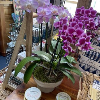 Adelaide - Flowers & Gifts Near Me - Altadena, California