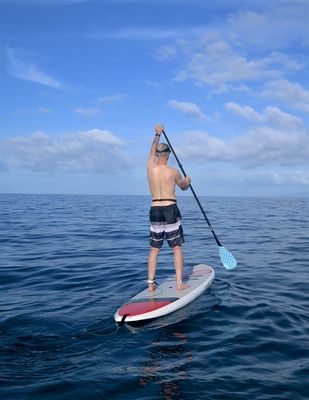 Turtle Town SUP Rentals by null
