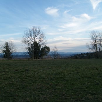 Grandview Off Leash Park - Upper bluff area - Dog Parks Near Me - SeaTac, Washington
