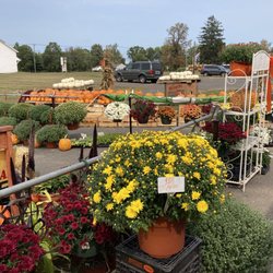 Vinnie's Little Acre