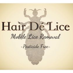 Sayonara - Mobil Lice removal Services