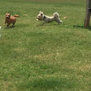Animal Boarding Center - Pet Boarding Near Me - Tuttle, Oklahoma Animal Boarding Center - Pet Boarding Near Me - Tuttle, Oklahoma