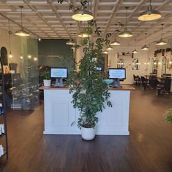 Fresh Salon + Spa