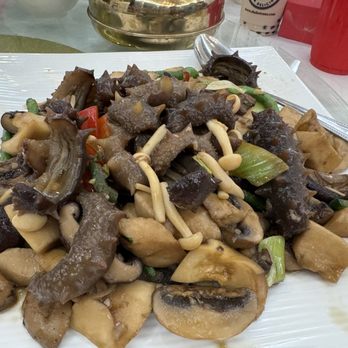 New SF Asian Pearl Peninsula - Stir-Fry Sea Cucumber with Mushroom - Dim Sum Near Me - Millbrae, California New SF Asian Pearl Peninsula - Stir-Fry Sea Cucumber with Mushroom - Dim Sum Near Me - Millbrae, California