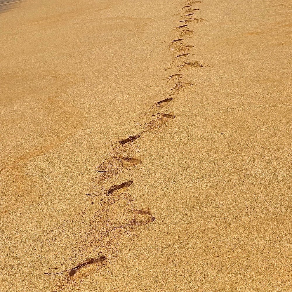 Polo Beach - Footprints on the beach - Beaches Near Me - Kihei, Hawaii Polo Beach - Footprints on the beach - Beaches Near Me - Kihei, Hawaii