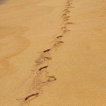 Polo Beach - Footprints on the beach - Beaches Near Me - Kihei, Hawaii