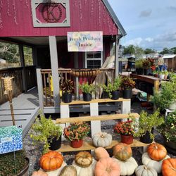 Kasheta Farms