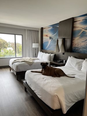 San Diego Marriott Del Mar by null