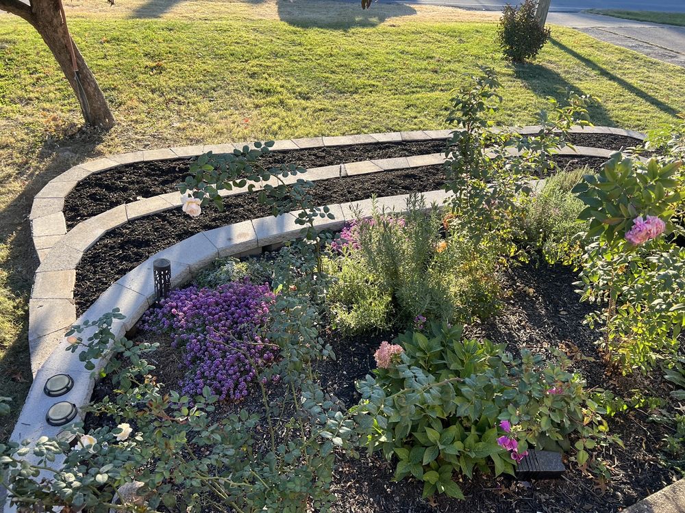 Tereso Estrada - tree service in Shelbyville, KY