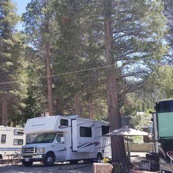 Golden Pine Rv Park - Golden Pine RV park - RV Parks Near Me - June Lake, California