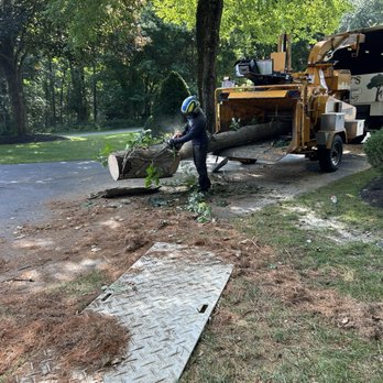 Rony's Landscaping - Tree cleanup - Landscaping Near Me Rony's Landscaping - Tree cleanup - Landscaping Near Me