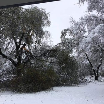 River City Tree Service - Tree Services Near Me - Redding, California River City Tree Service - Tree Services Near Me - Redding, California