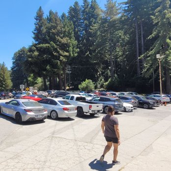 Alice's Restaurant - View of the parking lot - Diners Near Me - Woodside, California