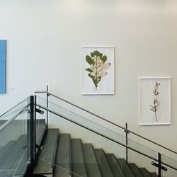 The Gallery at Atlantic Wharf - Beth Galston's work over the stairs